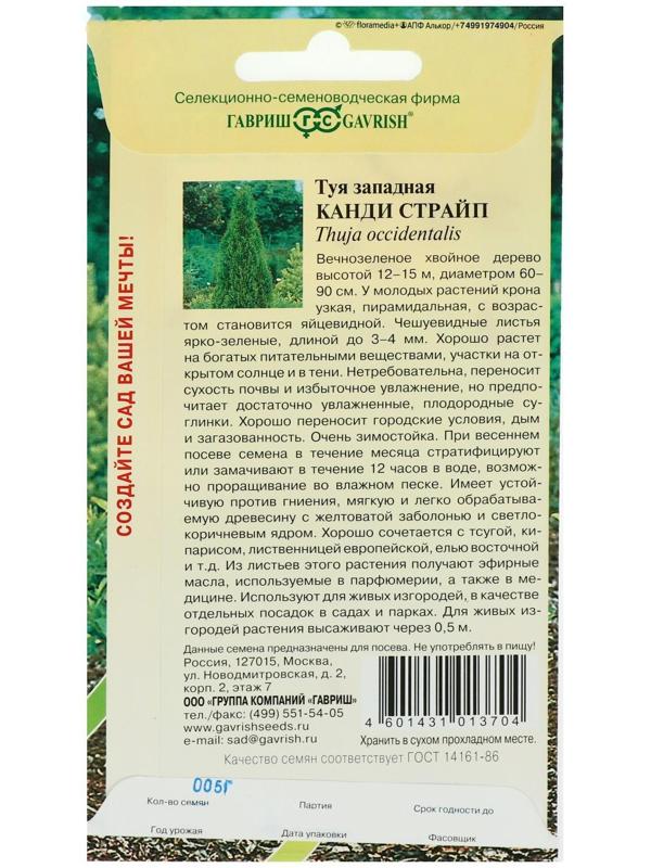 Семена Туя западная 