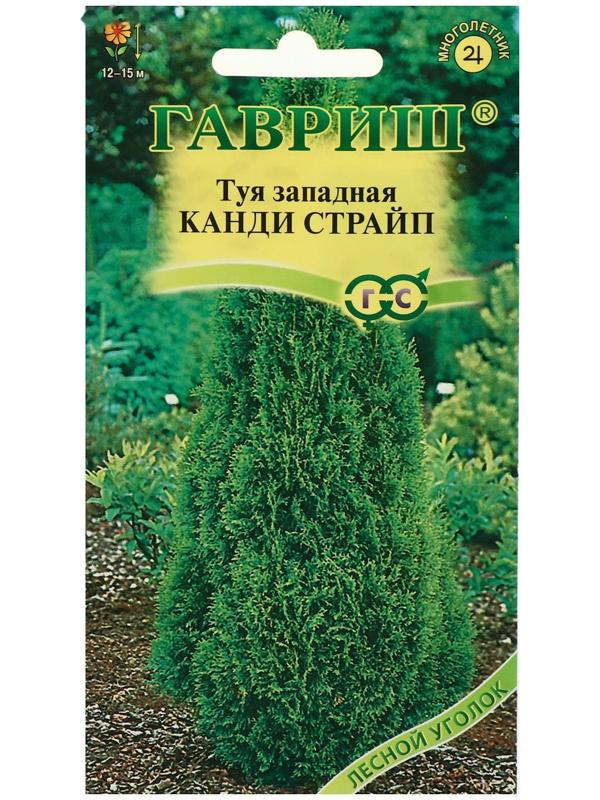 Семена Туя западная 