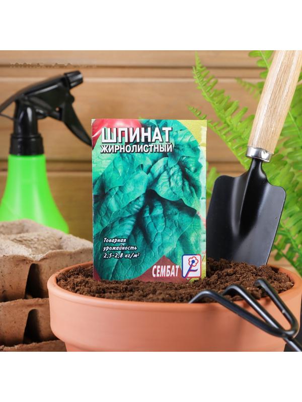 Семена шпинат 