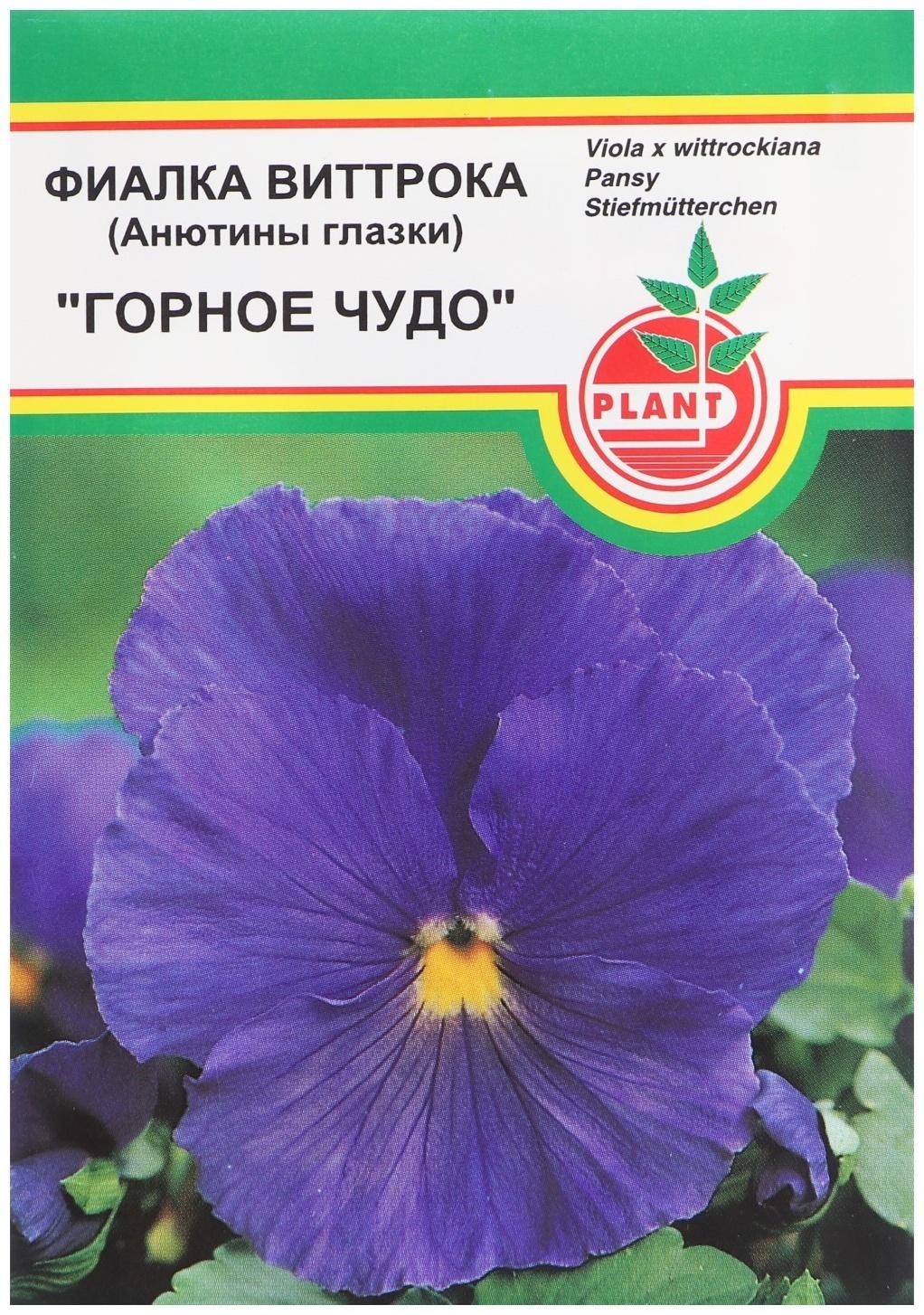 Семена цветов Фиалка 