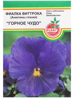 Семена цветов Фиалка 