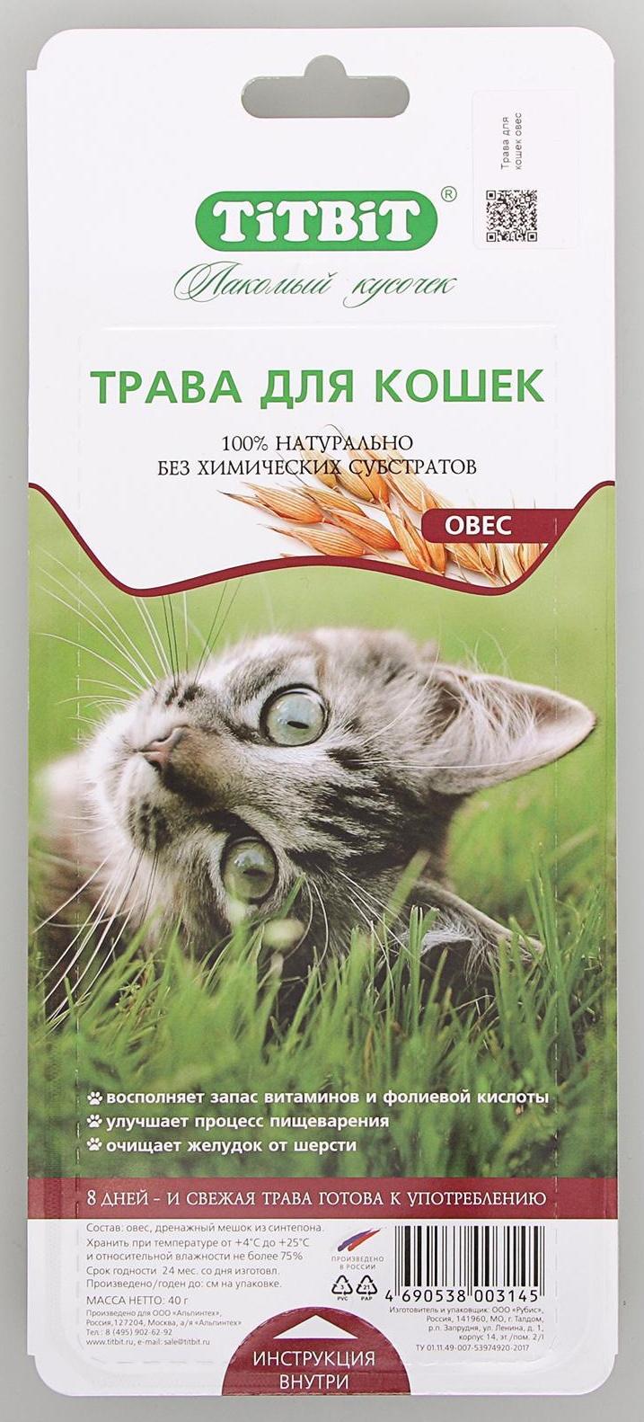 Трава Titbit для кошек, овес, 40 г