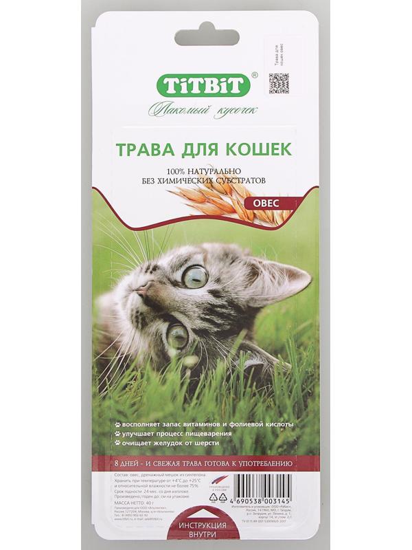 Трава Titbit для кошек, овес, 40 г