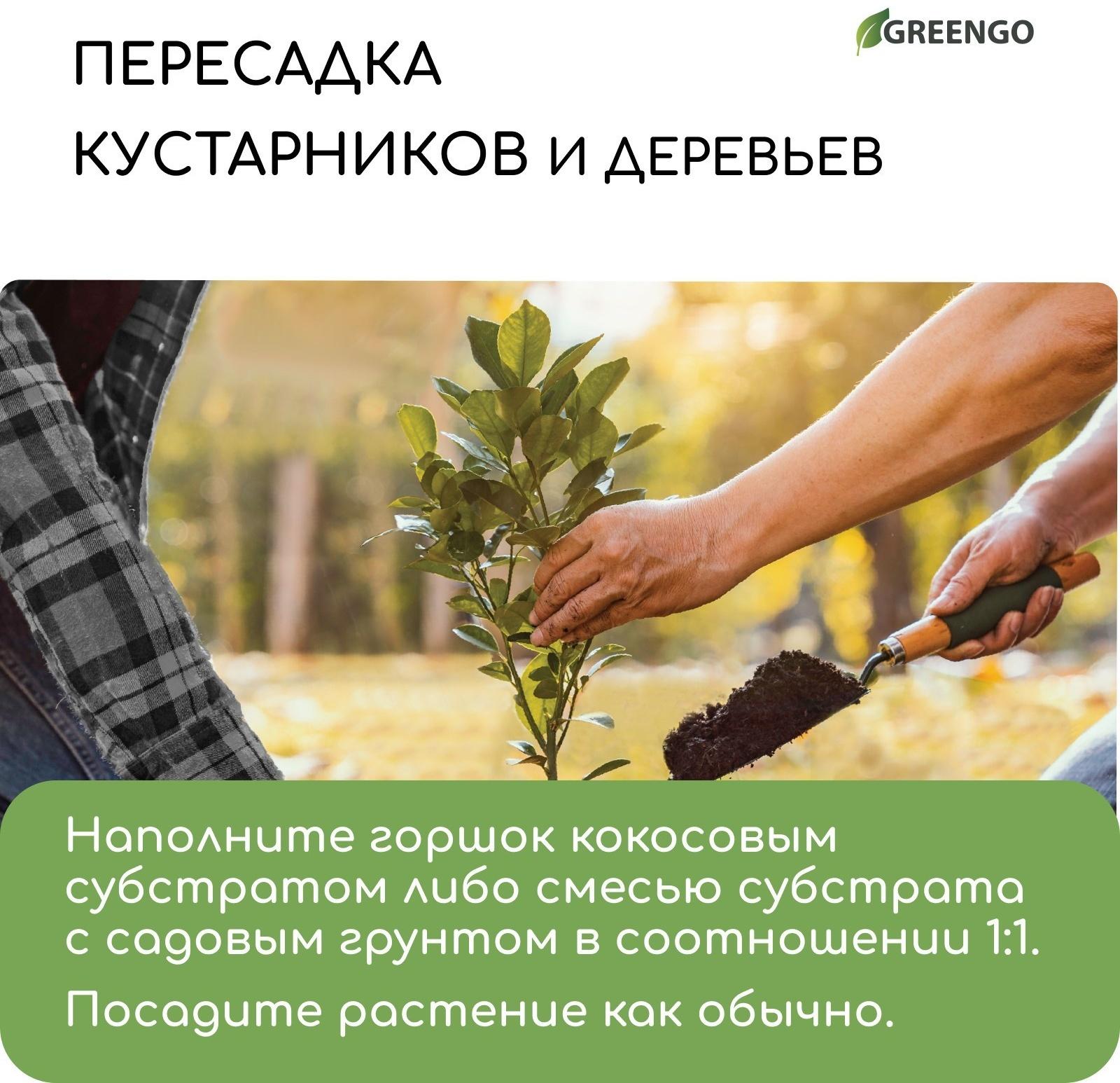 Субстрат кокосовый в брикете, 65 л, универсальный, Greengo