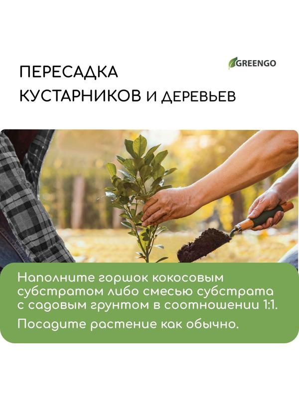 Субстрат кокосовый в брикете, 65 л, универсальный, Greengo