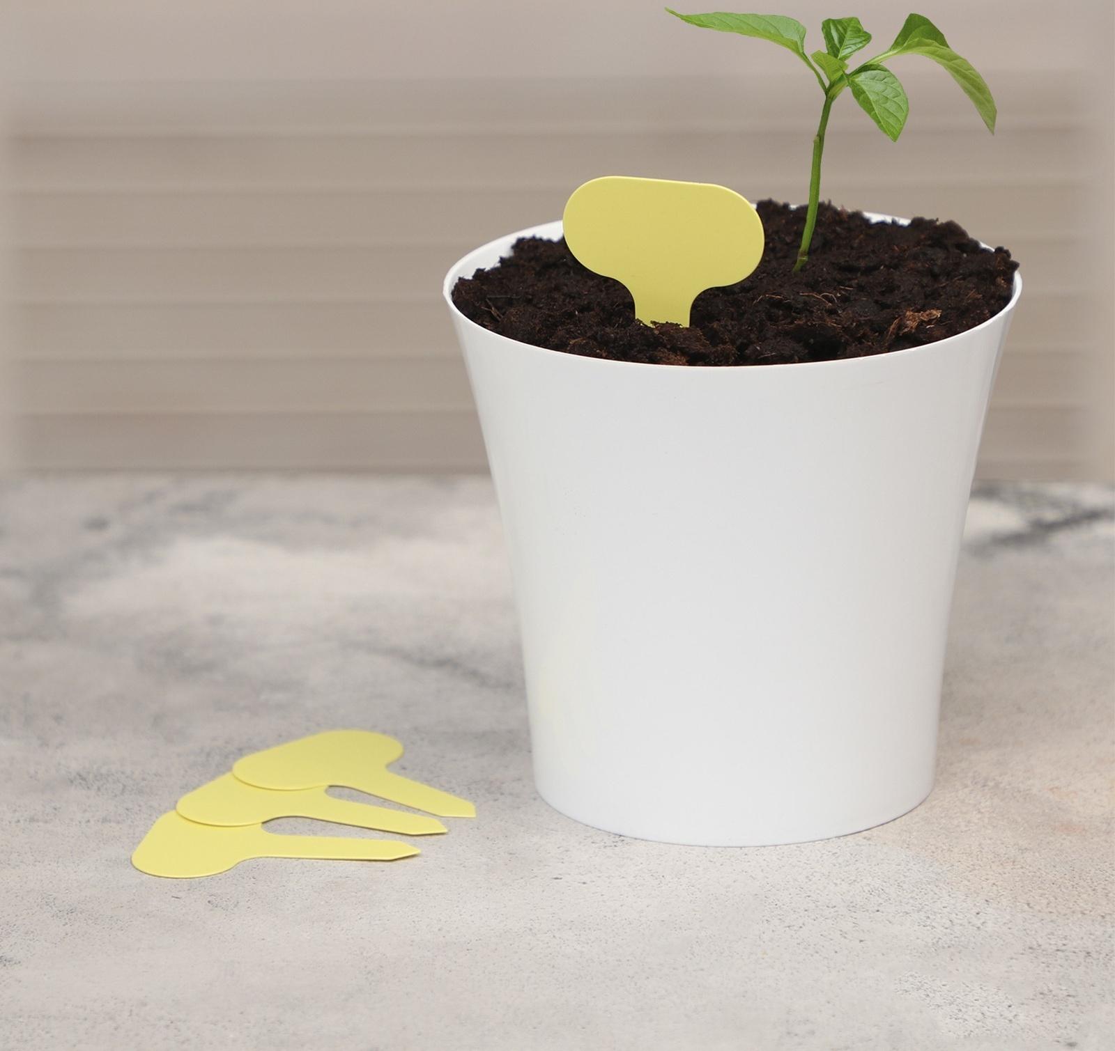 Таблички садовые для маркировки, 7 см, набор 20 шт., пластик, цвет МИКС, Greengo