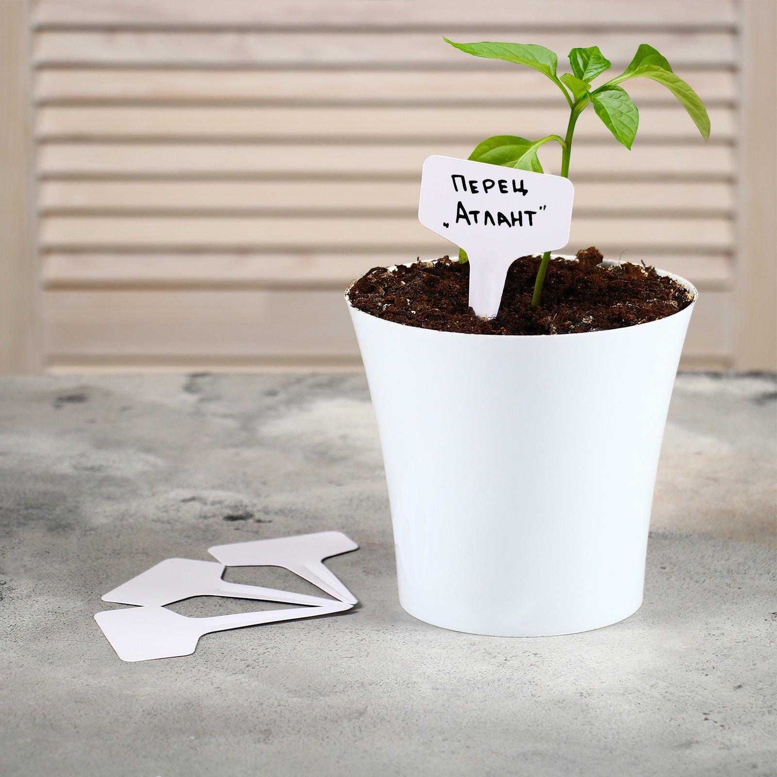 Таблички садовые для маркировки, 10 см, набор 20 шт., пластик, цвет МИКС