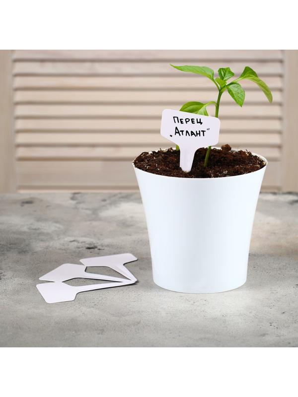 Таблички садовые для маркировки, 10 см, набор 20 шт., пластик, цвет МИКС