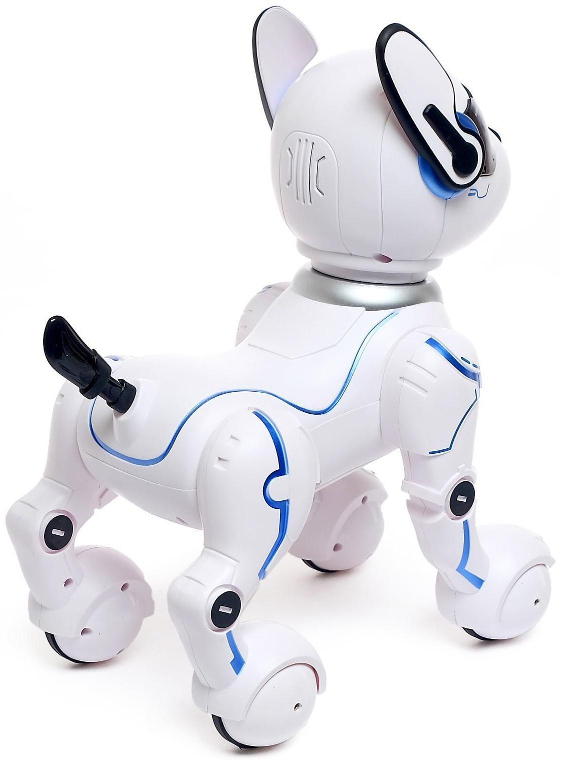 Робот собака «Фьючер» ZHORYA, на пульте управления, интерактивный: звук, свет, танцующий, музыкальный, на аккумуляторе