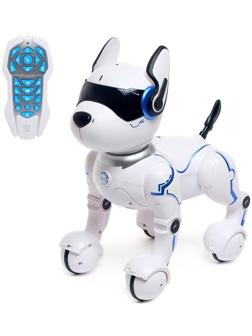 Робот собака «Фьючер» ZHORYA, на пульте управления, интерактивный: звук, свет, танцующий, музыкальный, на аккумуляторе