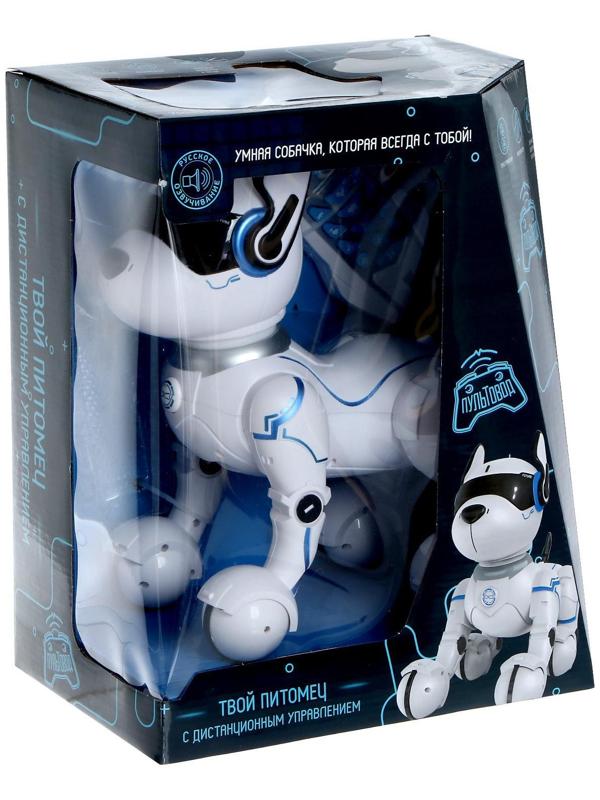 Робот собака «Фьючер» ZHORYA, на пульте управления, интерактивный: звук, свет, танцующий, музыкальный, на аккумуляторе