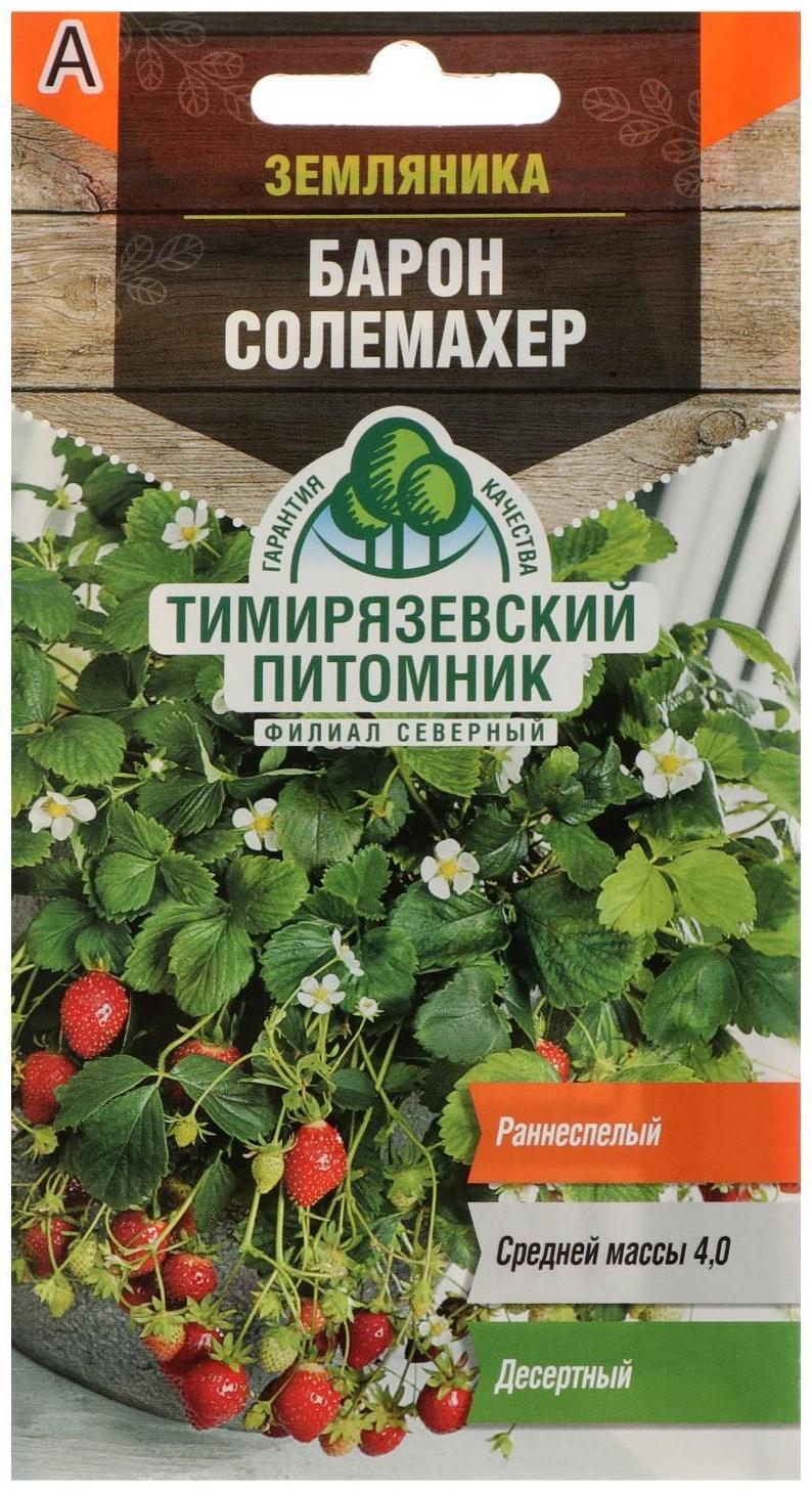 Семена  Земляника 