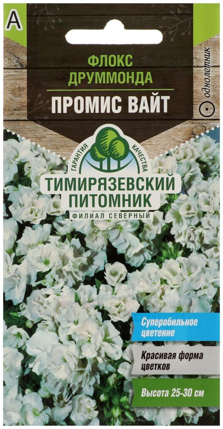 Семена цветов Флокс друммонда 