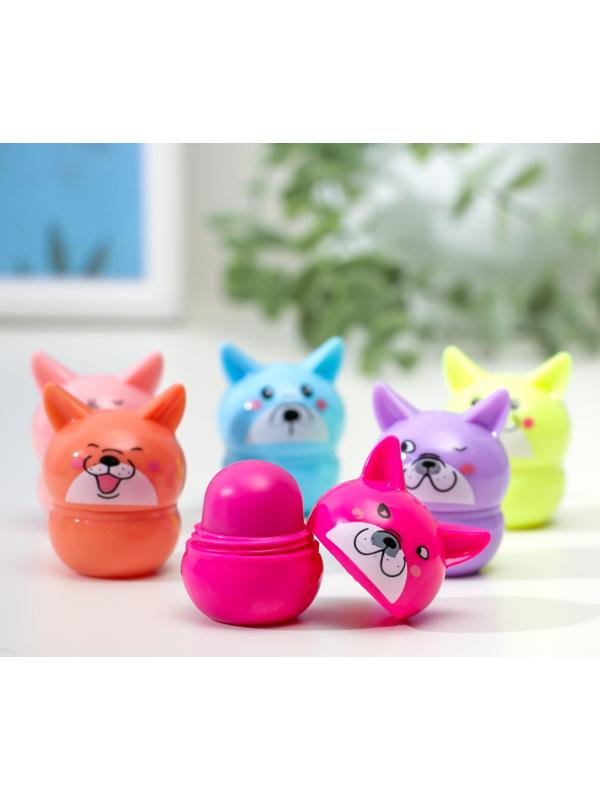 Бальзам для губ «Пёсик», микс цветов и ароматов