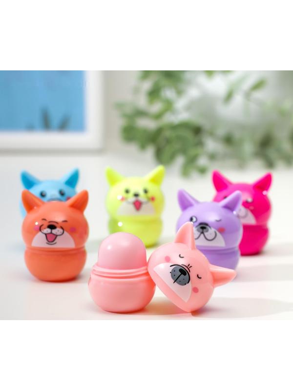 Бальзам для губ «Пёсик», микс цветов и ароматов