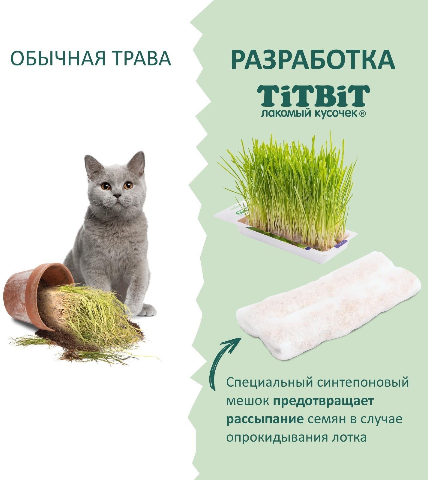 Трава TiTBiT для кошек, ячмень, 50 г