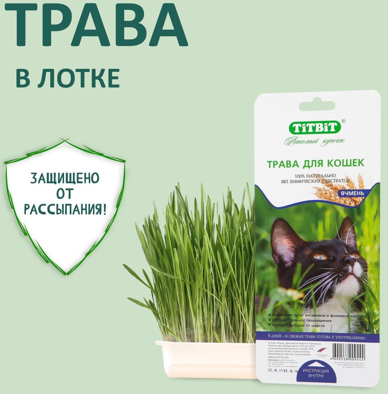 Трава TiTBiT для кошек, ячмень, 50 г