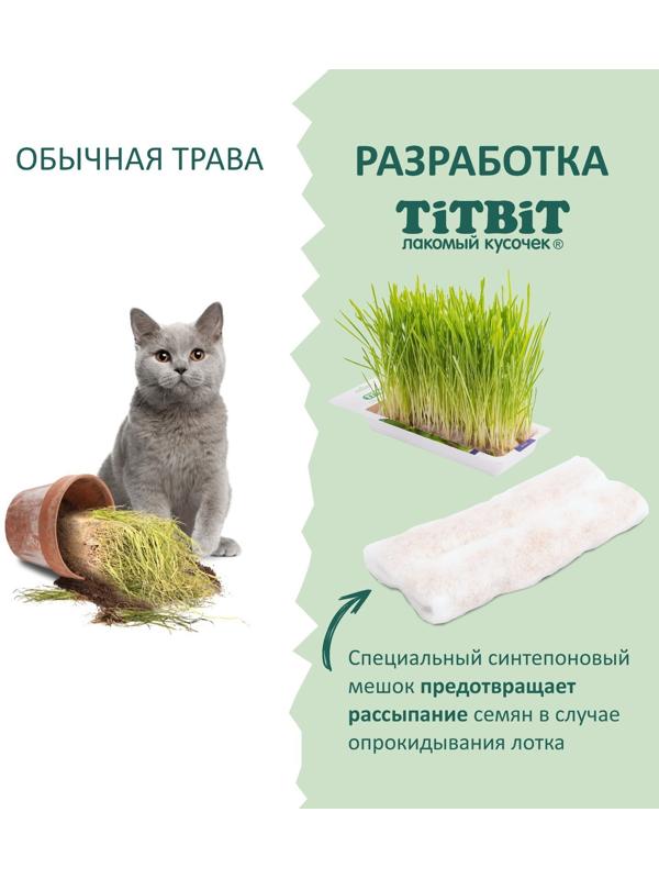 Трава TiTBiT для кошек, ячмень, 50 г