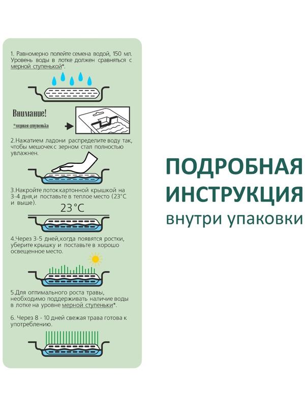 Трава TiTBiT для кошек, ячмень, 50 г