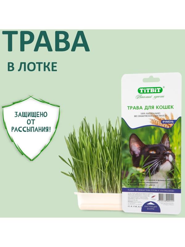 Трава TiTBiT для кошек, ячмень, 50 г