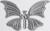 Бабочка
