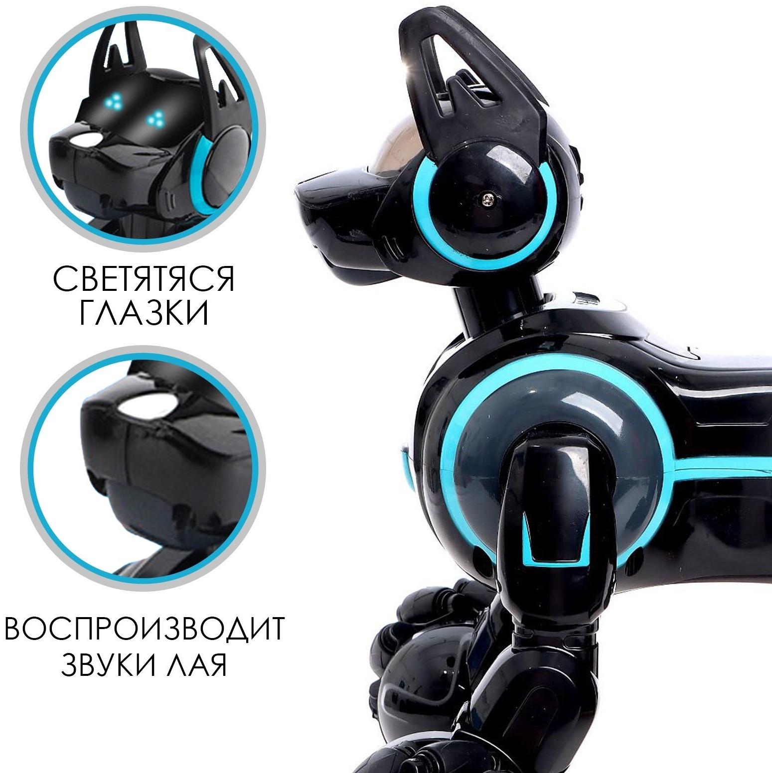 Робот собака Stunt, на пульте управления, интерактивный: звук, свет, на аккумуляторе, чёрный