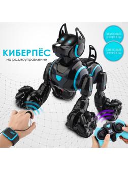 Робот собака Stunt, на пульте управления, интерактивный: звук, свет, на аккумуляторе, чёрный