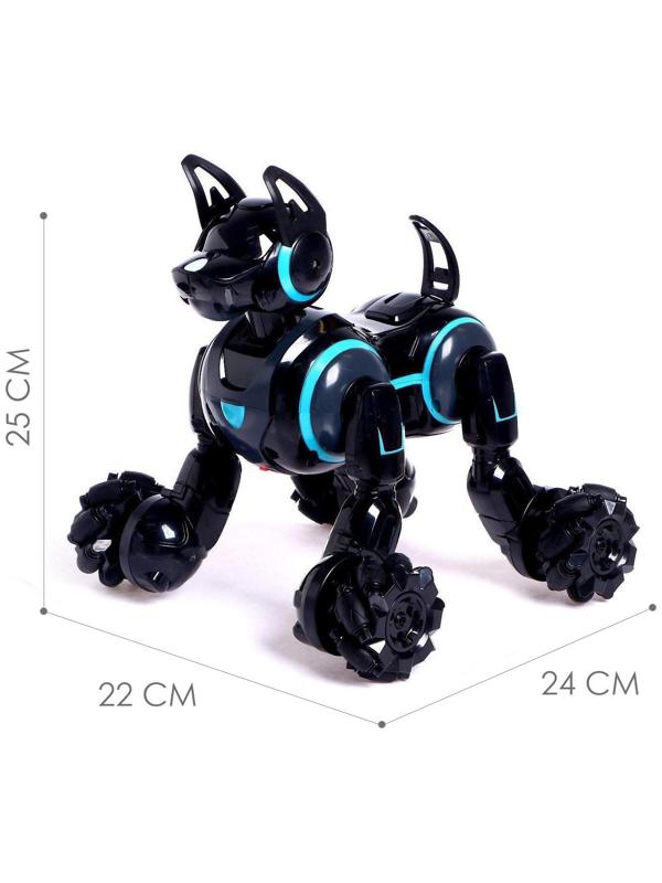 Робот собака Stunt, на пульте управления, интерактивный: звук, свет, на аккумуляторе, чёрный