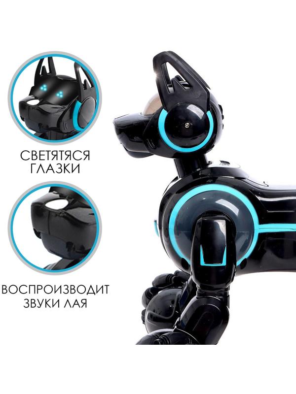 Робот собака Stunt, на пульте управления, интерактивный: звук, свет, на аккумуляторе, чёрный