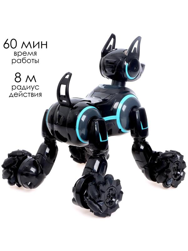 Робот собака Stunt, на пульте управления, интерактивный: звук, свет, на аккумуляторе, чёрный