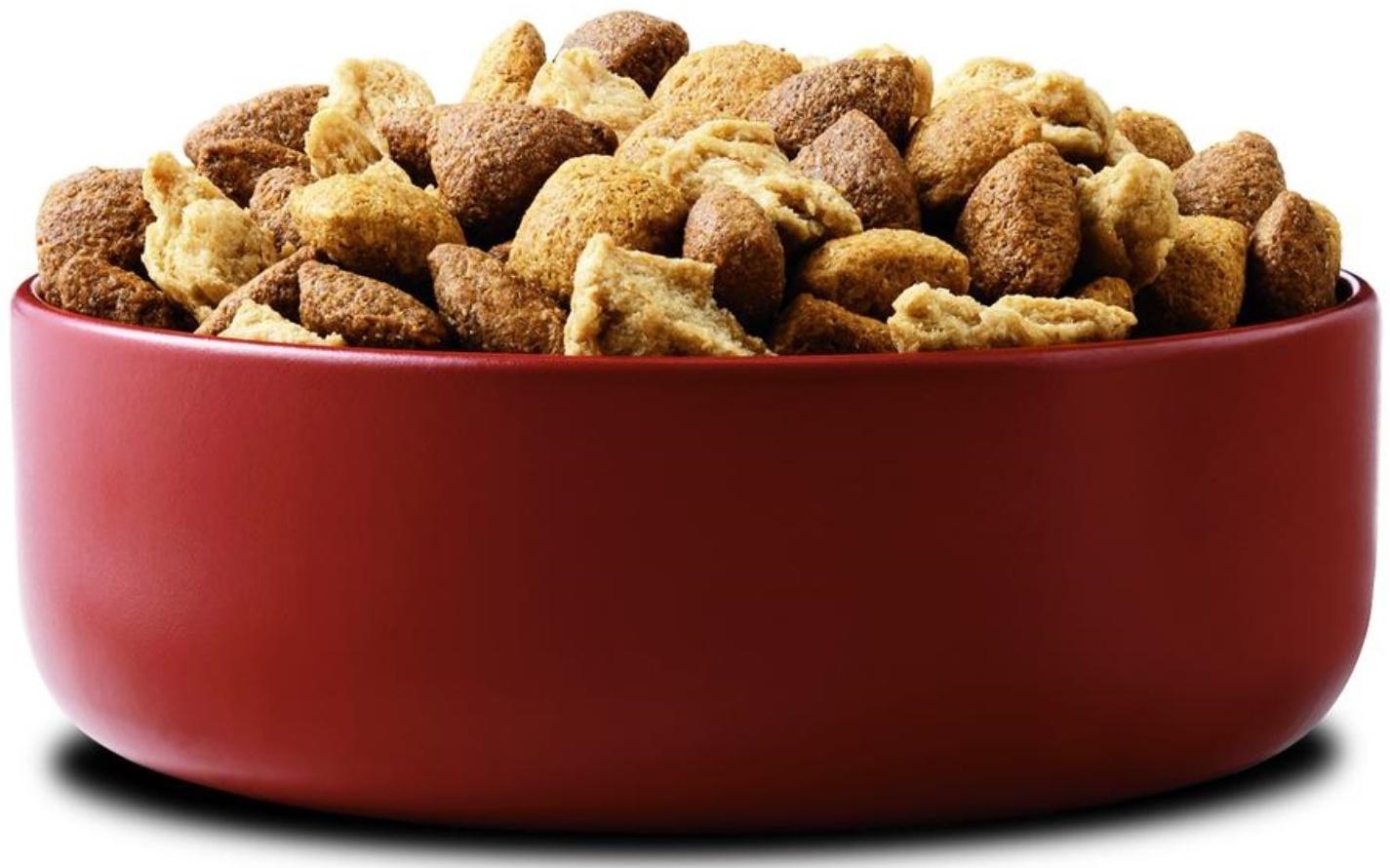 Сухой корм Purinа One medium/maxi для взрослых собак, курица/рис, 10 кг