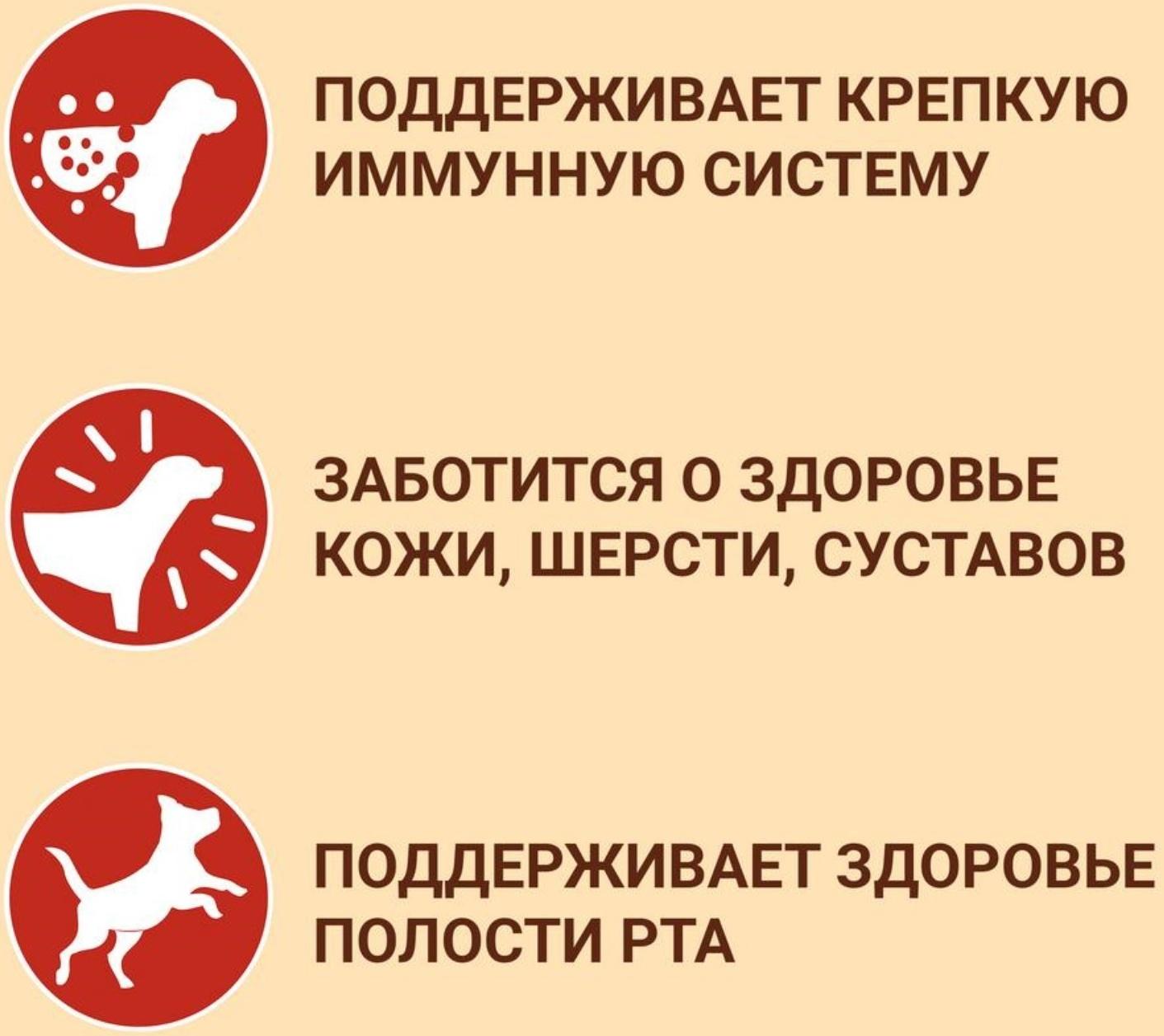 Сухой корм Purinа One medium/maxi для взрослых собак, курица/рис, 10 кг