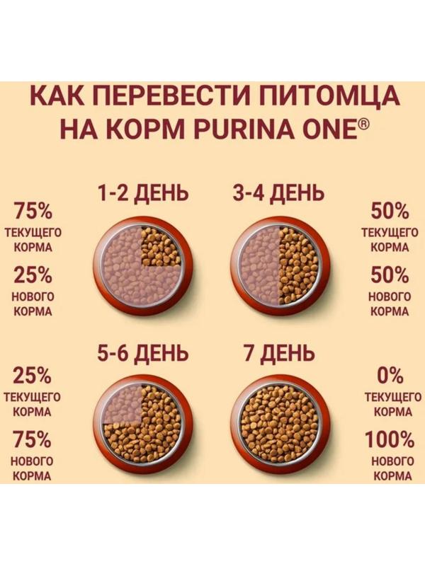 Сухой корм Purinа One medium/maxi для взрослых собак, курица/рис, 10 кг