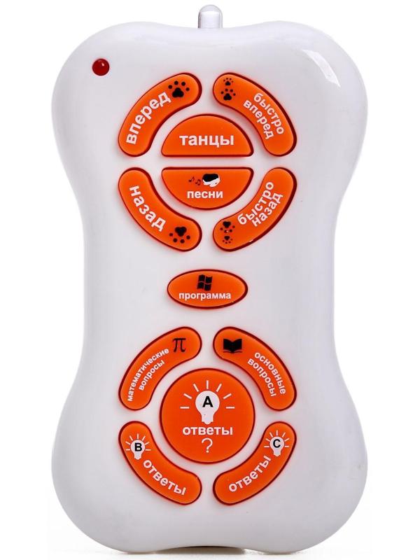 Робот лошадь «Умный питомец» ZHORYA, программируемый, на пульте управления, интерактивный: звук, свет, на батарейках, на русском языке