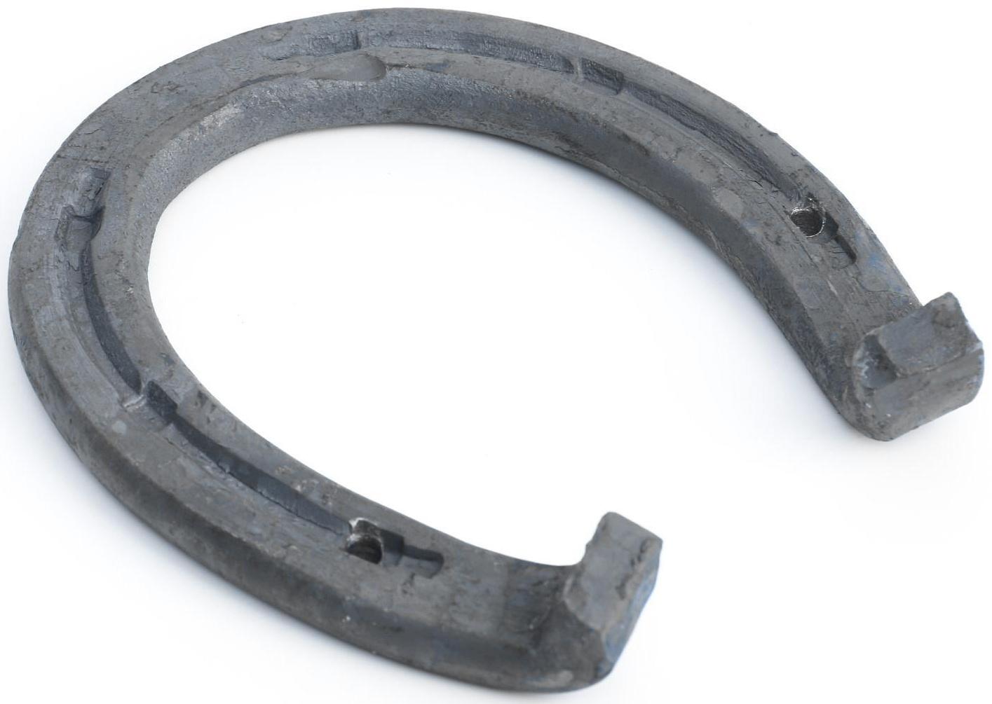 Подкова большая