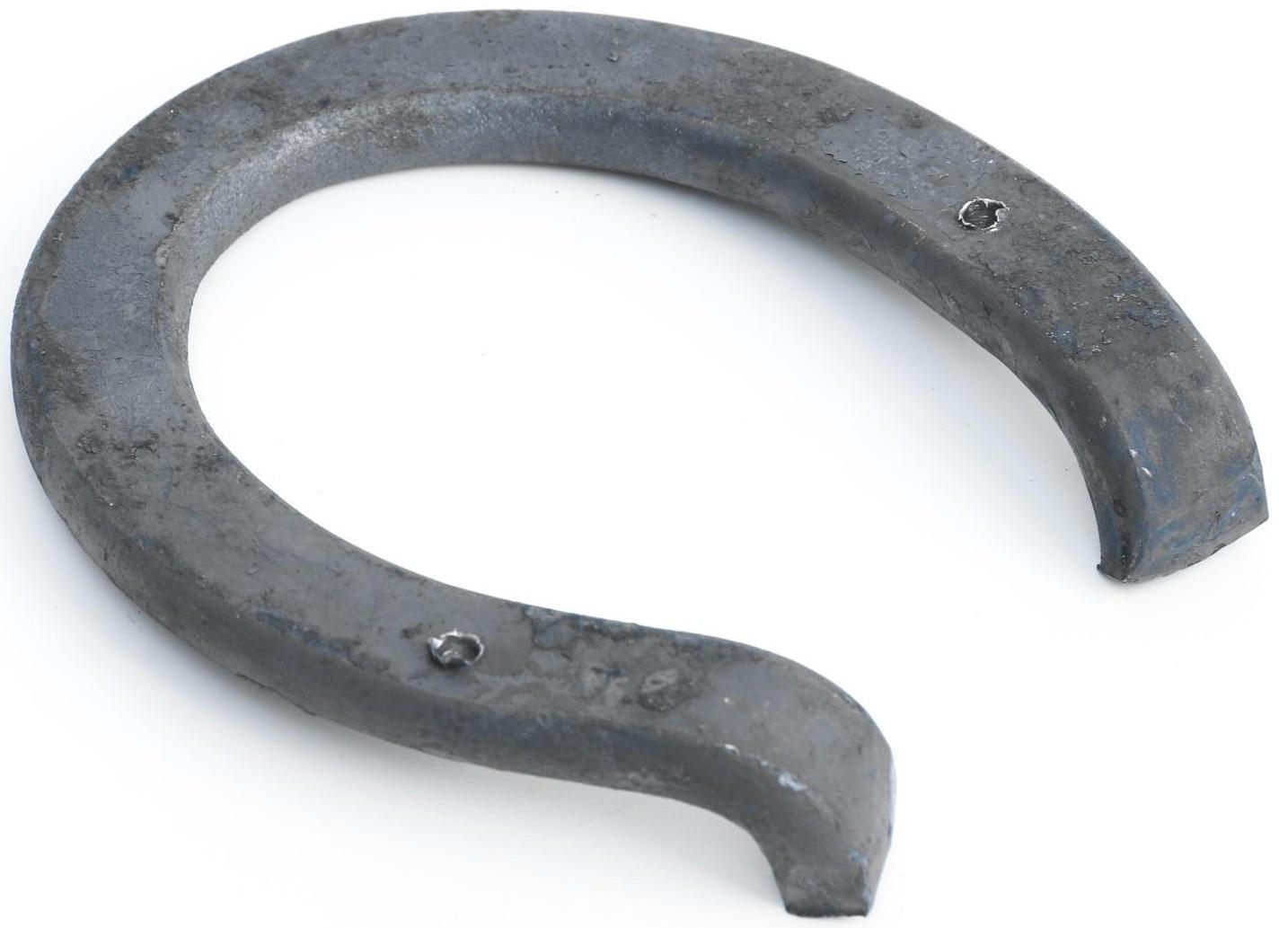 Подкова большая