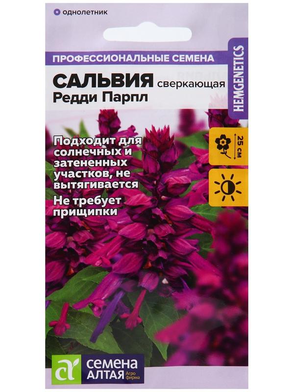 Семена цветов Сальвия 