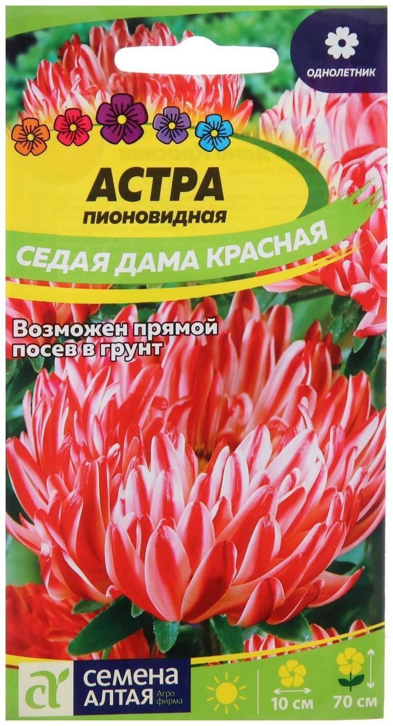 Семена цветов Астра 