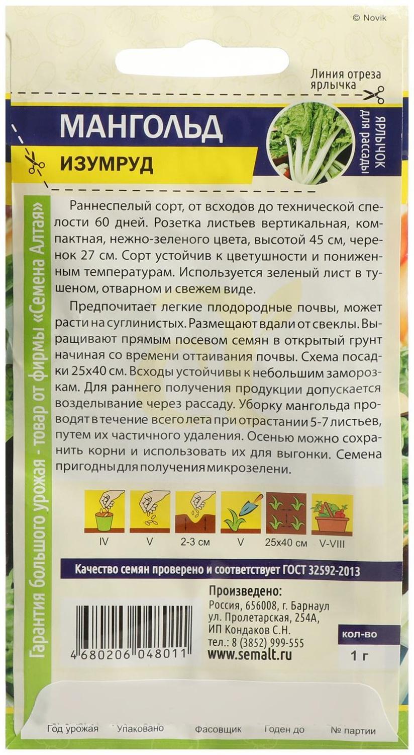 Семена Мангольд 