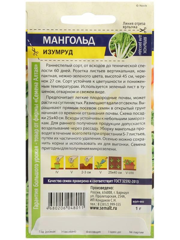 Семена Мангольд 