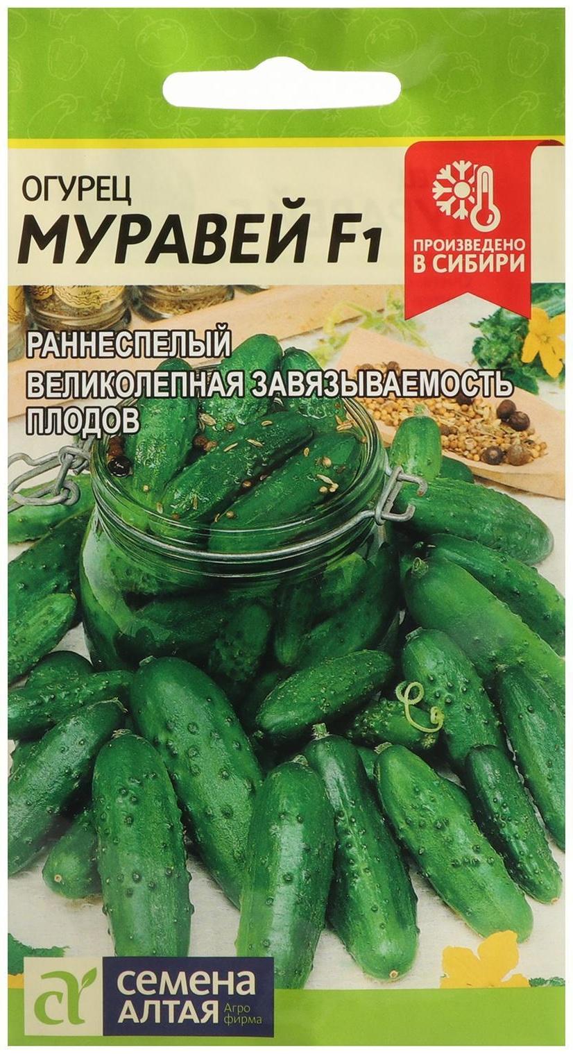 Семена Огурец 