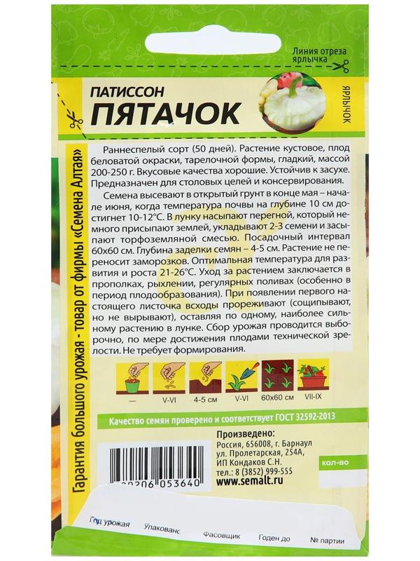 Семена Патиссон 