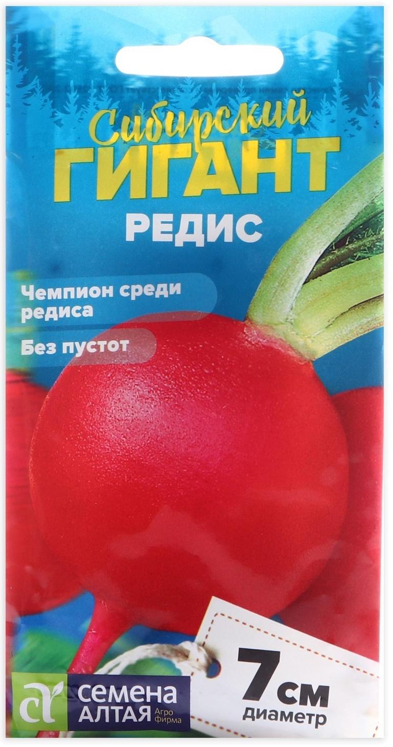 Семена Редис 