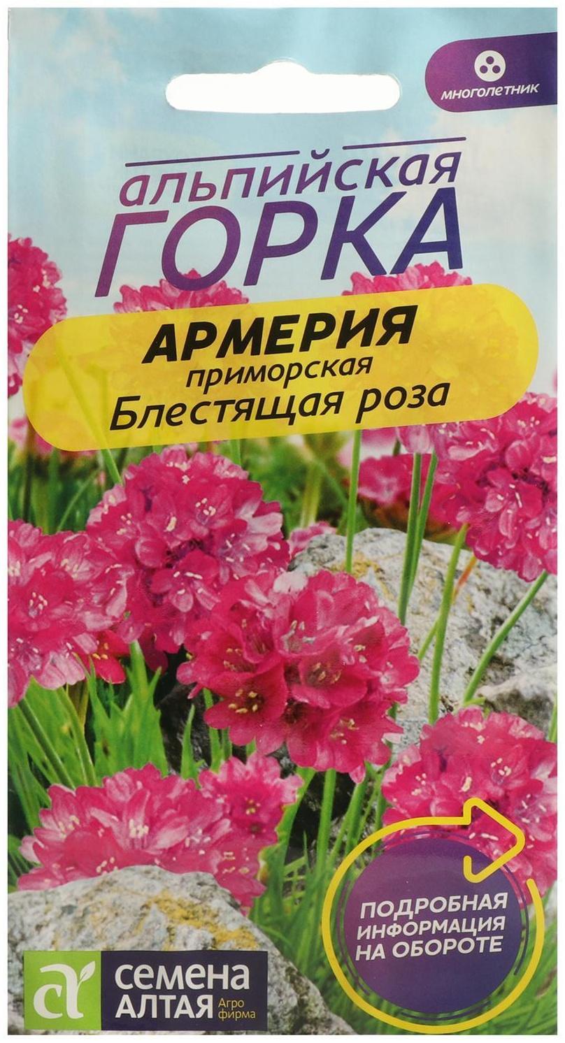 Семена цветов Армерия 