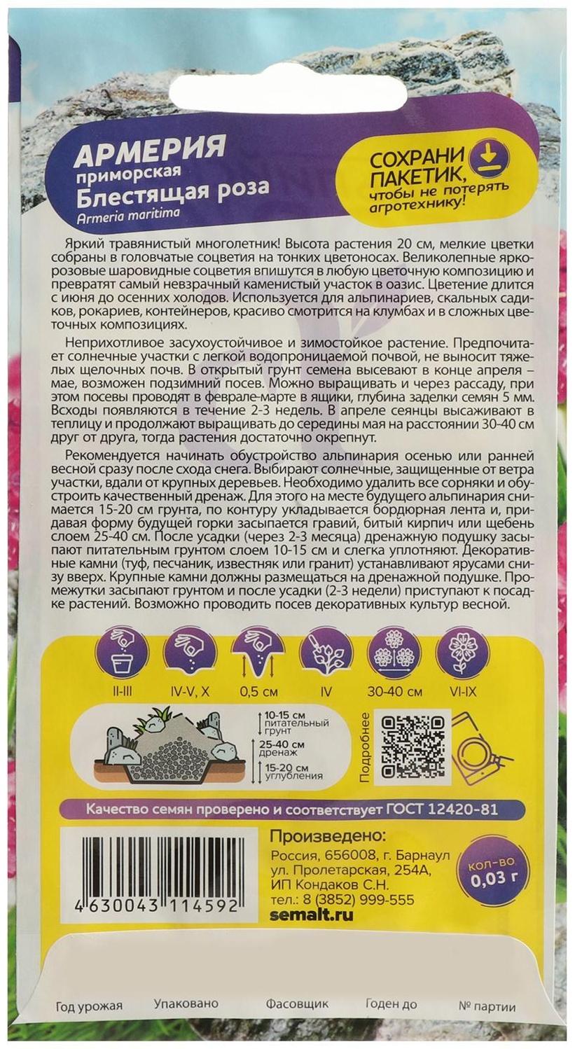 Семена цветов Армерия 