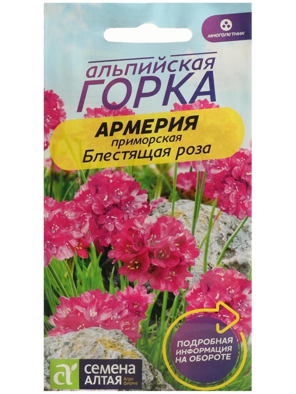 Семена цветов Армерия 
