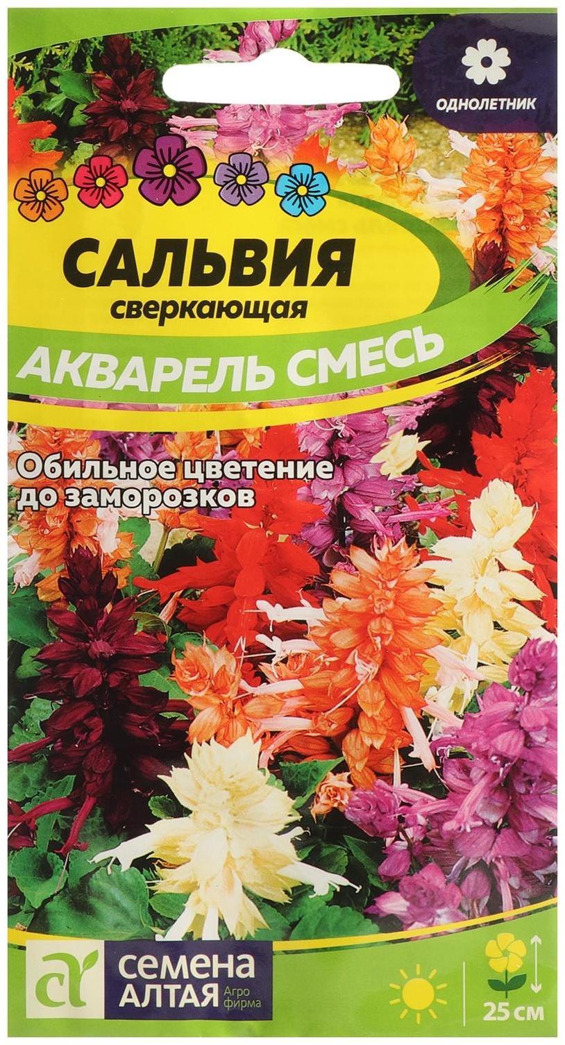 Семена цветов Сальвия 