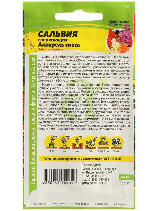 Семена цветов Сальвия 