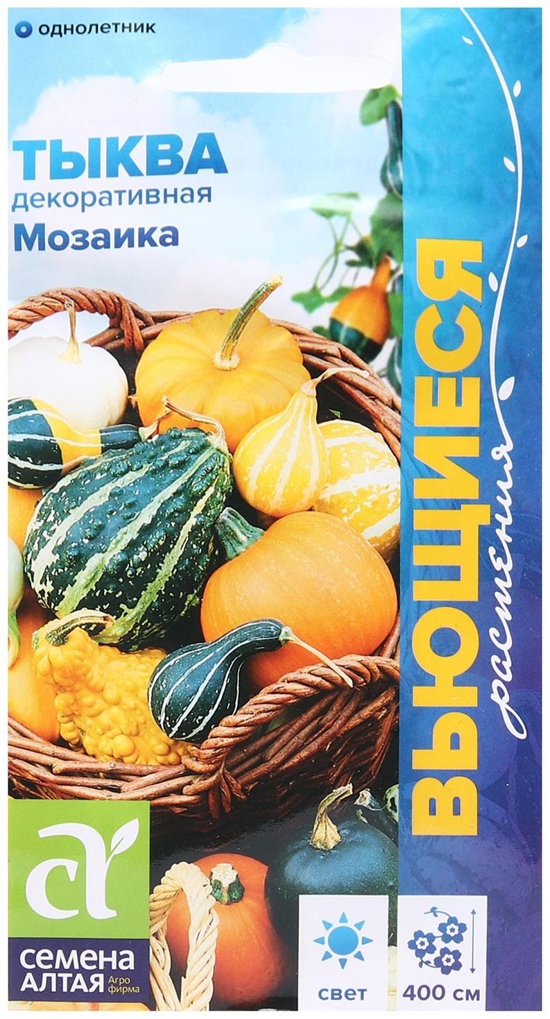 Семена Тыква 