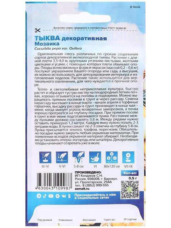 Семена Тыква 